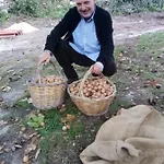 La 3* Aritzo