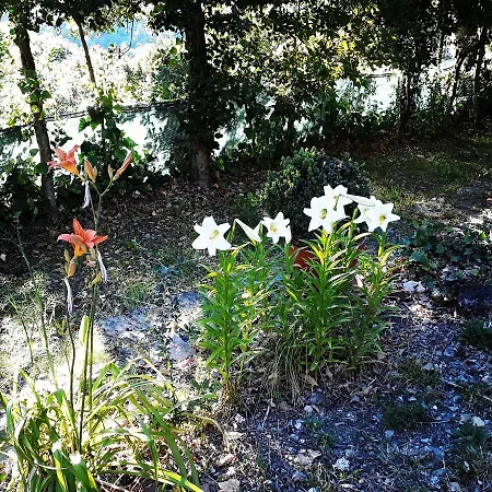 La Bed & Breakfast Aritzo