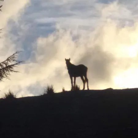 Bed & Breakfast La 3*