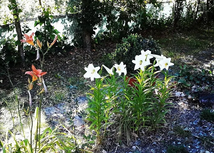 La לינה וארוחת בוקר אריצו