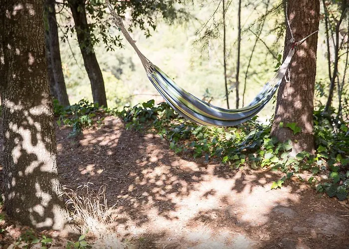 La לינה וארוחת בוקר 3*