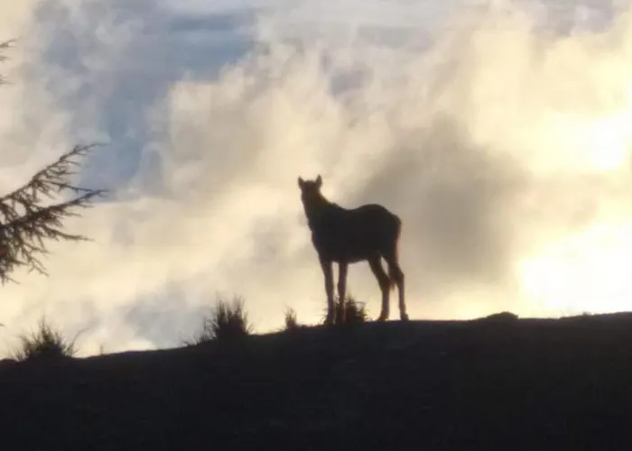 לינה וארוחת בוקר La 3*