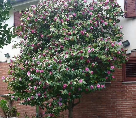 La לינה וארוחת בוקר